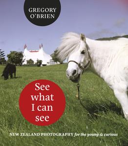 See What I Can See di Greg O'Brien edito da Auckland University Press