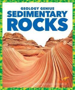 Sedimentary Rocks di Rebecca Pettiford edito da Pogo Books