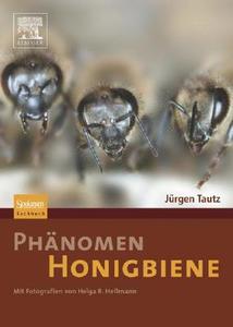 Phänomen Honigbiene di Jürgen Tautz edito da Spektrum-Akademischer Vlg