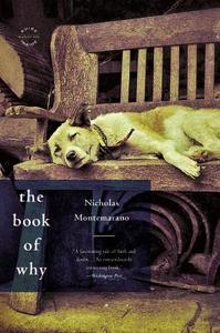 The Book of Why di Nicholas Montemarano edito da BACK BAY BOOKS