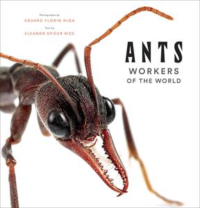 Ants: Workers of the World di Eleanor Spicer Rice edito da ABRAMS