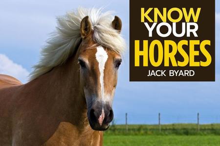 Know Your Horses di Jack Byard edito da OLD POND BOOKS