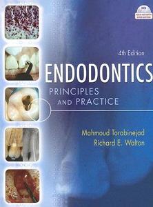 Endodontics di Mahmoud Torabinejad, Richard E. Walton edito da Elsevier - Health Sciences Division