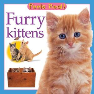 Furry Kittens di Barrons, Christiane Gunzi edito da Barron's Educational Series