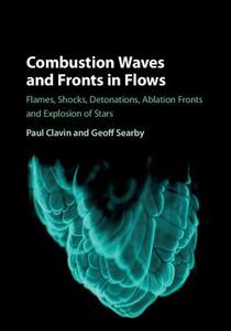 Combustion Waves and Fronts in Flows di Paul (Universite d'Aix-Marseille) Clavin, Geoff Searby edito da Cambridge University Press