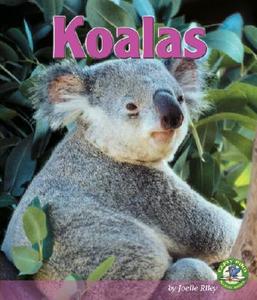 Koalas di Joelle Riley edito da Lerner Publications