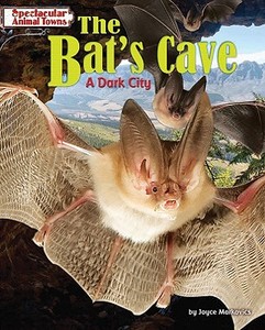 The Bat's Cave: A Dark City di Joyce L. Markovics edito da BEARPORT PUB CO INC