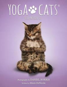 Yoga Cats Deck & Book Set di Alison Denicola edito da U S GAMES SYSTEMS INC