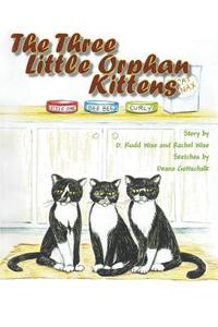 The Three Little Orphan Kittens di D. Rudd Wise, Rachel Wise edito da LITFIRE PUB LLC