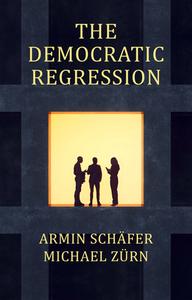 The Democratic Regression di Armin Schafer, Michael Zurn edito da Polity Press