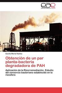 Obtención de un par planta-bacteria degradadora de PAH di Cecilia Mariel Ibañez edito da EAE