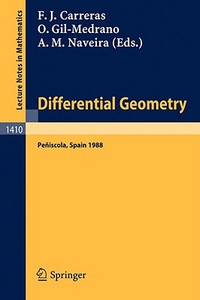 Differential Geometry edito da Springer Berlin Heidelberg
