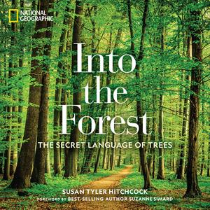 Into The Forest di Susan Tyler Hitchcock edito da National Geographic Society