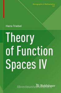 Theory of Function Spaces IV di Hans Triebel edito da Springer International Publishing