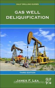 Gas Well Deliquification di Jr. Lea, Lynn (Engineer Rowlan edito da Elsevier Science & Technology