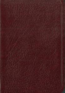 Biblia de Bolsillo-NIV = Spanish Pocket Bible-NIV edito da Vida Publishers