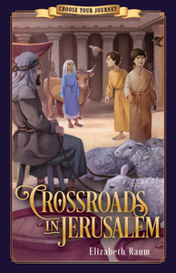 Crossroads in Jerusalem di Elizabeth Raum edito da BOB JONES UNIV PR