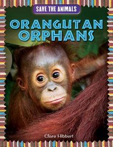 Orangutan Orphans di Clare Hibbert edito da PowerKids Press