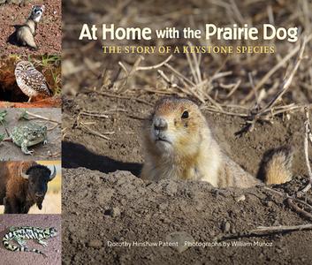 At Home with the Prairie Dog: The Story of a Keystone Species di Dorothy Hinshaw Patent edito da WEB OF LIFE CHILDRENS BOOKS