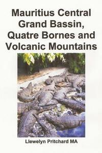 Mauritius Central Grand Bassin, Quatre Bornes and Volcanic Mountains: A Bailiu Cuimhneachain Grianghraif Dhaite Le Fotheidil di Llewelyn Pritchard edito da Createspace Independent Publishing Platform