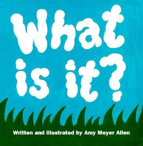 What Is It? di Amy Allen edito da W S Pub Group
