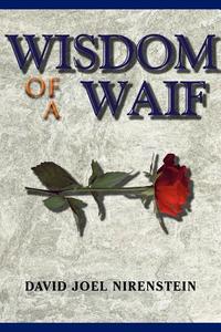WISDOM OF A WAIF di David Joel Nirenstein edito da Xlibris