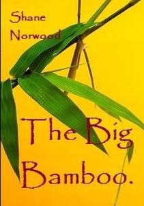 The Big Bamboo di Shane Norwood edito da Lulu.com