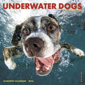Underwater Dogs Mini Calendar edito da Willow Creek Press