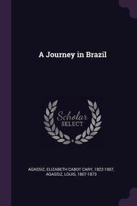 A Journey in Brazil di Elizabeth Cabot Cary Agassiz, Louis Agassiz edito da CHIZINE PUBN
