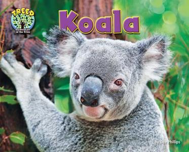 Koala di Dee Phillips edito da BEARPORT PUB CO INC
