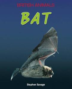British Animals: Bat di Stephen Savage edito da Hachette Children's Group