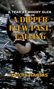 A Dipper Flew Past, Calling di Tricia Harris edito da Lulu.com