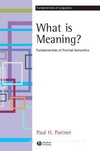What is Meaning di Portner edito da John Wiley & Sons
