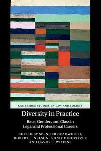 Diversity in Practice edito da Cambridge University Press