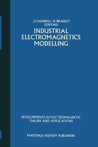 Industrial Electromagnetics Modelling edito da Springer Netherlands