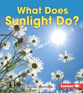 What Does Sunlight Do? di Jennifer Boothroyd edito da LERNER PUB GROUP