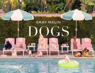Gray Malin: Dogs di Gray Malin edito da Abrams & Chronicle Books