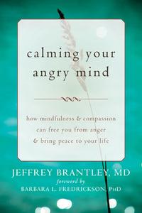 Calming Your Angry Mind: How Mindfulness & Compassion Can Free You from Anger & Bring Peace to Your Life di Jeffrey Brantley edito da NEW HARBINGER PUBN