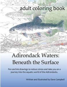 Adirondack Waters: Beneath the Surface di Dave Campbell edito da LIGHTNING SOURCE INC