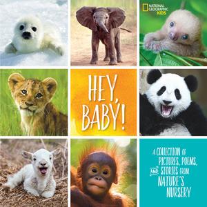 Hey, Baby! di Stephanie Warren Drimmer edito da National Geographic Kids