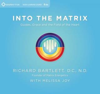 Into The Matrix di Richard Bartlett, Melissa Joy edito da Sounds True Inc