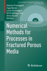 Numerical Methods for Processes in Fractured Porous Media edito da Springer International Publishing