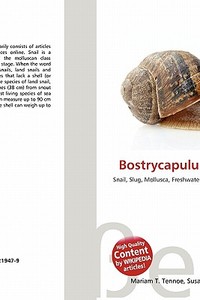 Bostrycapulus Latebrus edito da Betascript Publishing