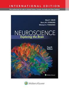 Neuroscience: Exploring the Brain di Mark Bear, Michael Paradiso, Barry W. Connors edito da Lippincott Williams&Wilki