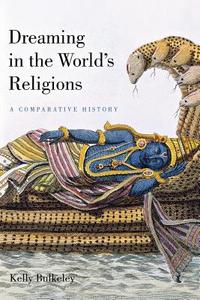 Dreaming in the World's Religions: A Comparative History di Kelly Bulkeley edito da NEW YORK UNIV PR