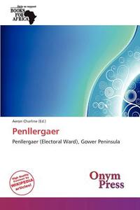 Penllergaer edito da Onym Press
