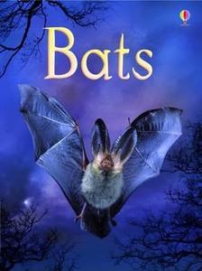 Bats di Megan Cullis edito da Usborne Publishing Ltd