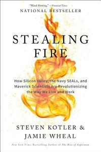 Stealing Fire di Steven Kotler edito da HarperCollins Publishers Inc