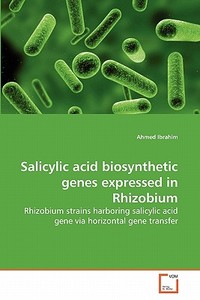 Salicylic acid biosynthetic genes expressed in Rhizobium di Ahmed Ibrahim edito da VDM Verlag