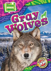 Gray Wolves di Chris Bowman edito da Bellwether Media